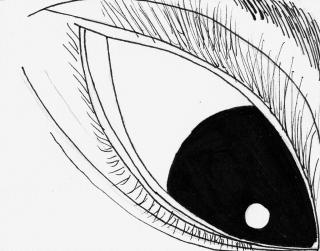 0020