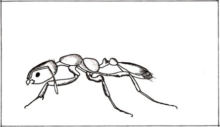 0552