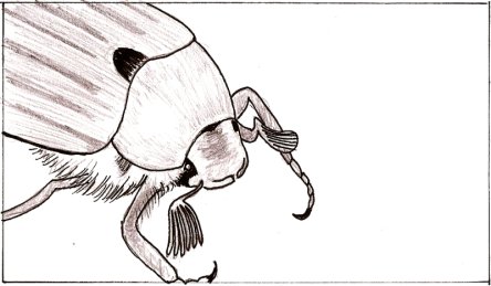 0556